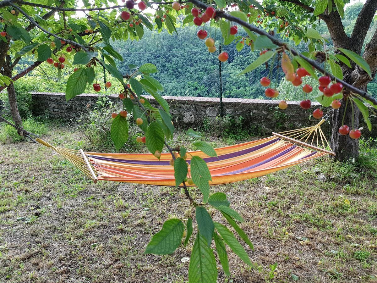 Guest House Il Giardino Colle di Val d'Elsa Exterior photo